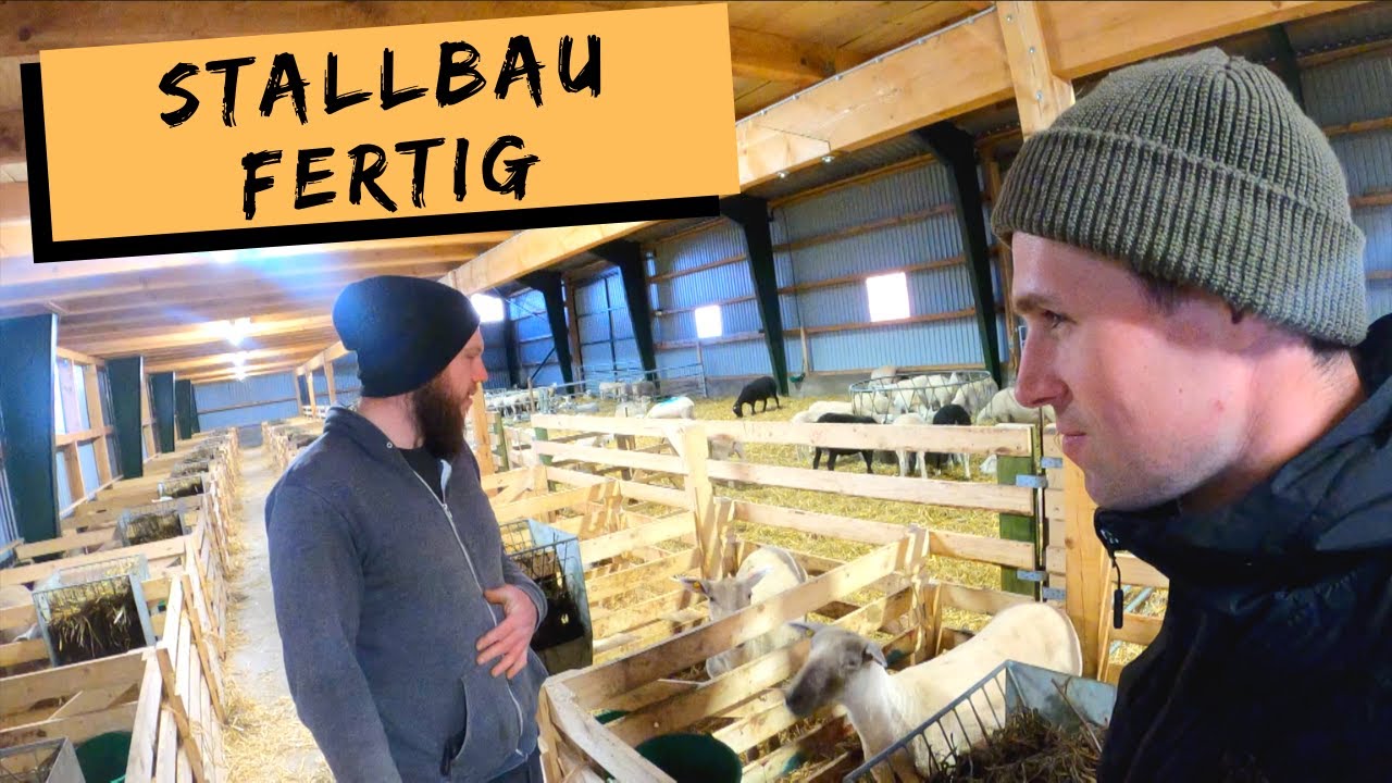 Stallbau abgeschlossen - Lammzeit kann kommen | Teil 4