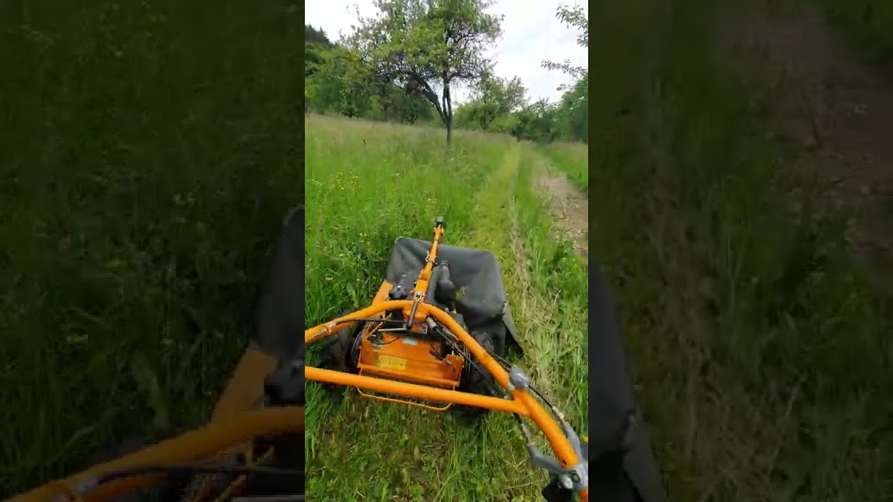 AS Motor Hochgrasmäher AS 28 2T Allmäher