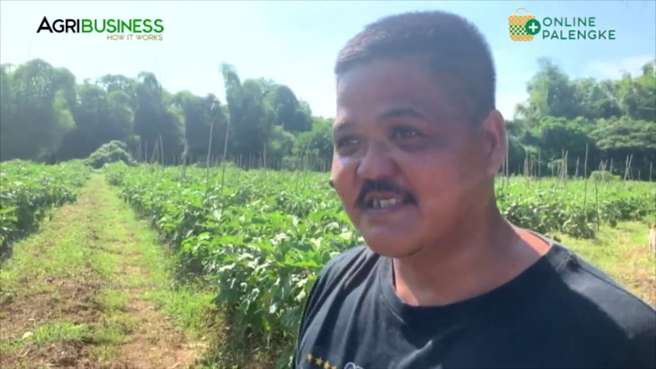 Madiskarteng Farmer: Multiple Incomes, Integrated Farming, Farming implements, Wood Charcoal  Etc