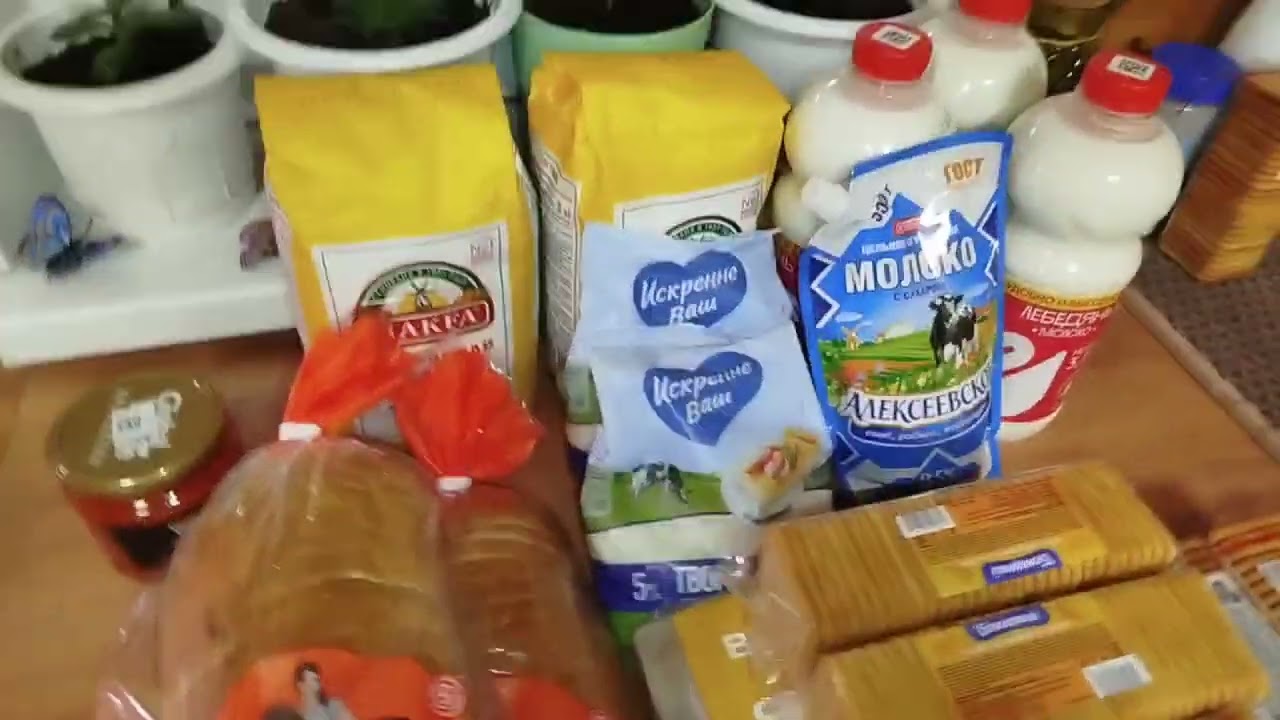 Обзор продуктов. Отзыв о работе ультразвукового отпугивателя крыс и мышей