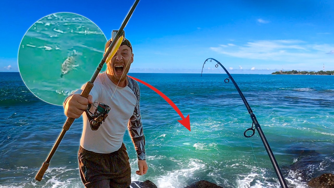 Live-Biss in Sri Lanka! Angeln vom Ufer auf Giant Trevally - Zerstörung - Mission GT 😱
