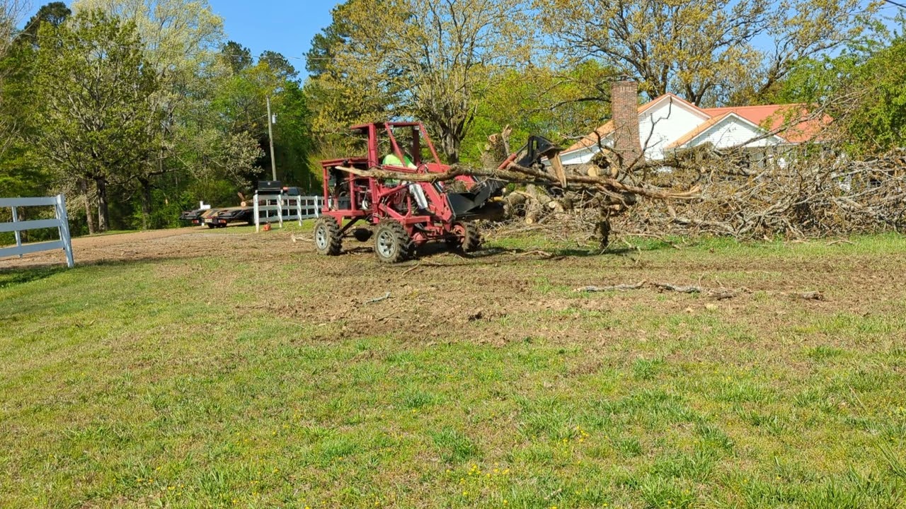 clearing trees3
