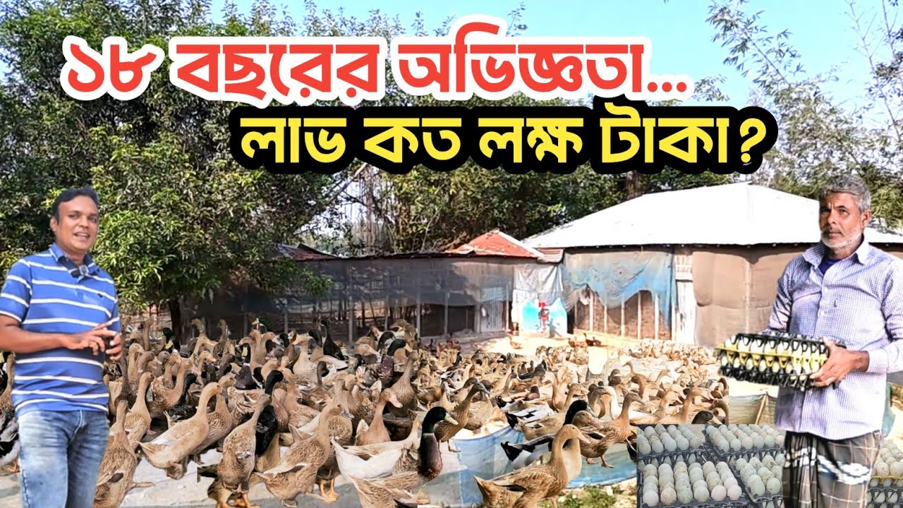 ১৮ বছরের অভিজ্ঞতা | আবদ্ধ অবস্থায় হাস পালনে কেমন আয় করছেন উদ্যোক্তা | Agro Dream Bangla 