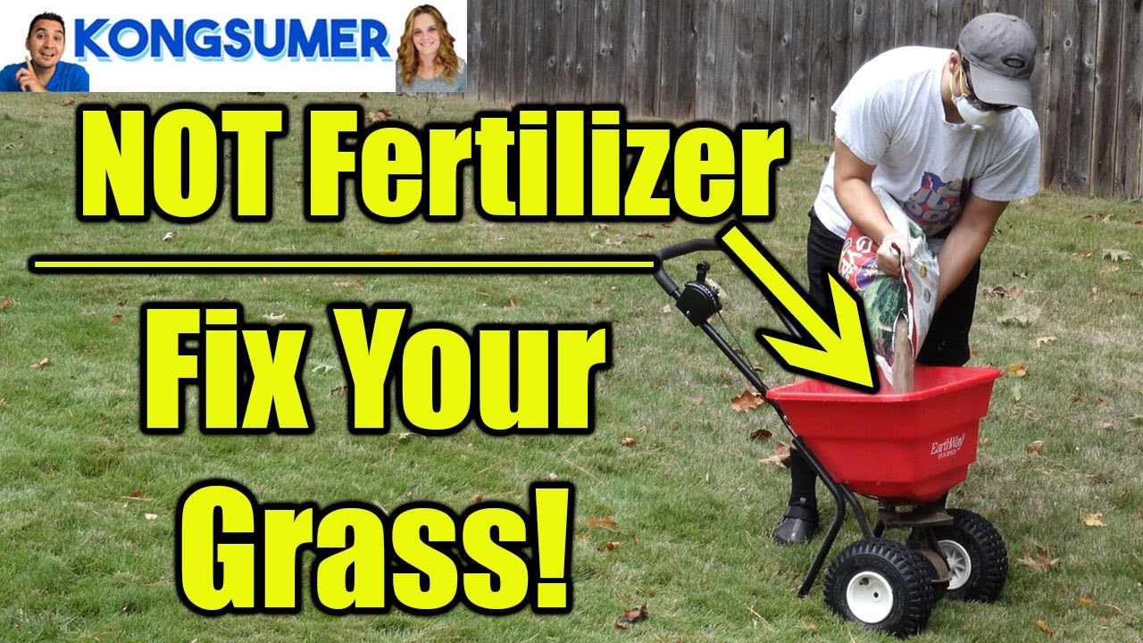 How To Fix Dry and Hard Soil Lawn Problems! How To Fix Your Grass Part 2