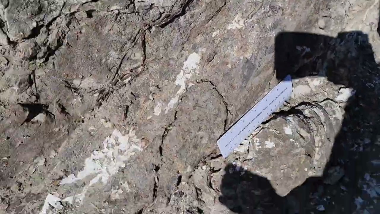 Evil Tree Bonebed: Real Dinosaur Quarry!