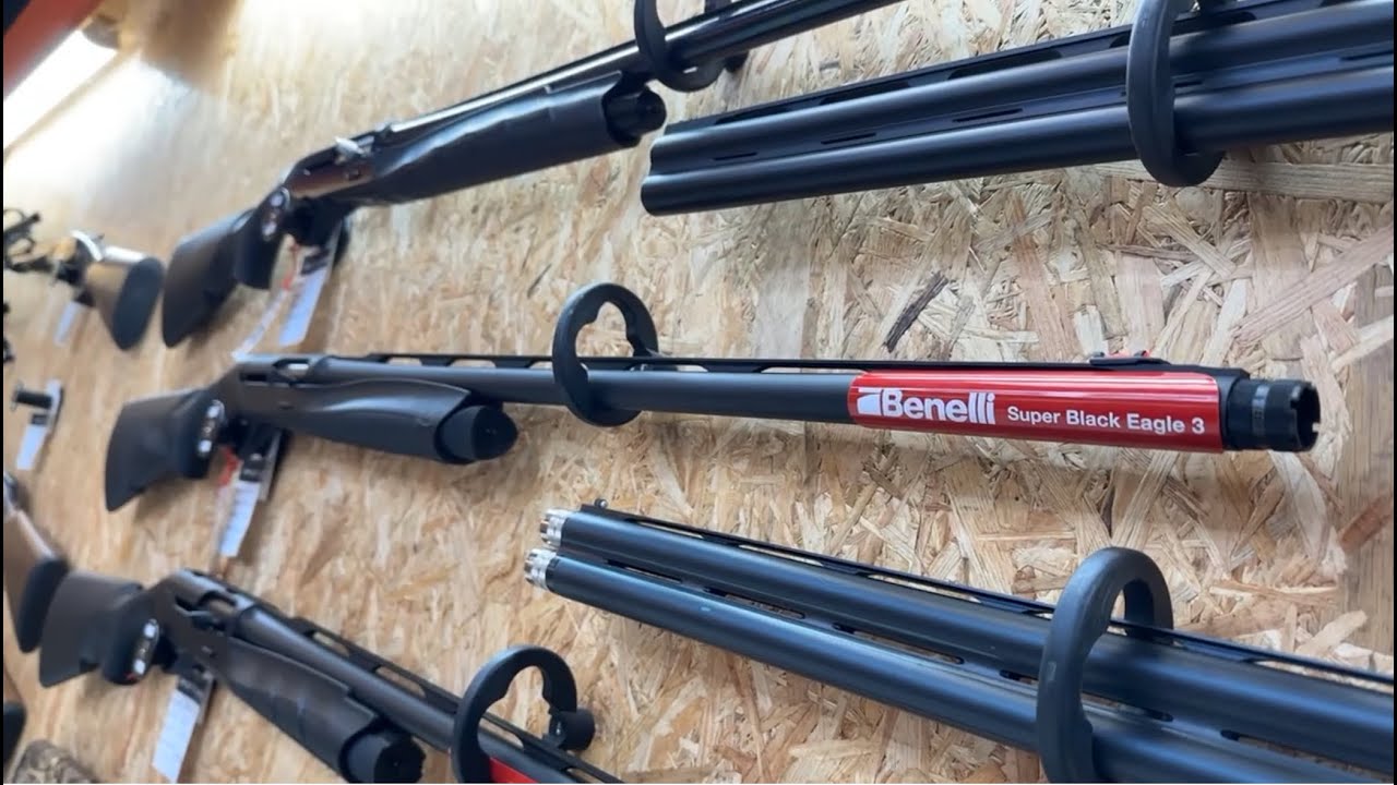 Essai du Benelli Super Black Eagle 3 sous la tempête - Premier test au pigeon ! Chasseurs de Plumes