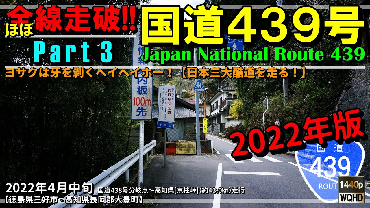 【ほぼ全線走破・酷道】ヨサクは独りで京柱峠へ向かう｜ 国道439号 Part 3（2022年版）｜日本三大酷道｜徳島県三好市～高知県長岡郡大豊町｜2022年4月中旬【車載動画】