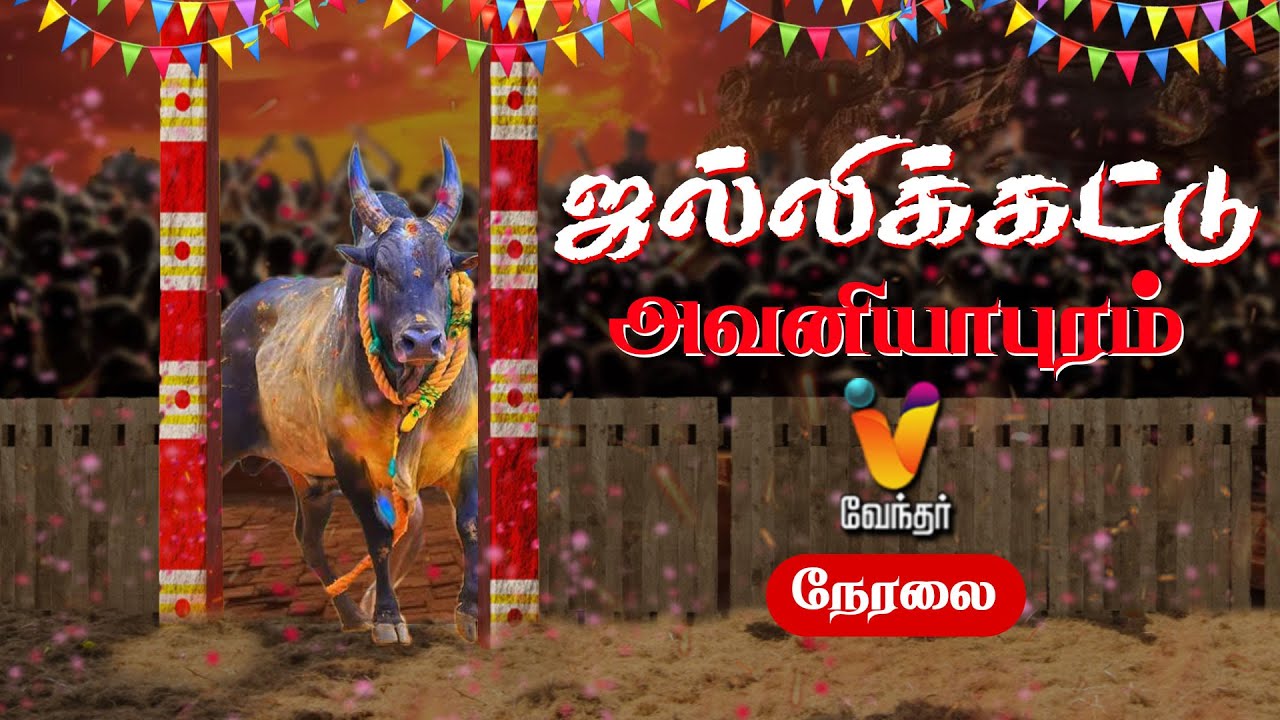 🔴LIVE : சீரும் காளைகள்.. அடக்கும் வீரர்கள்..!! | அவனியாபுரம் ஜல்லிக்கட்டு