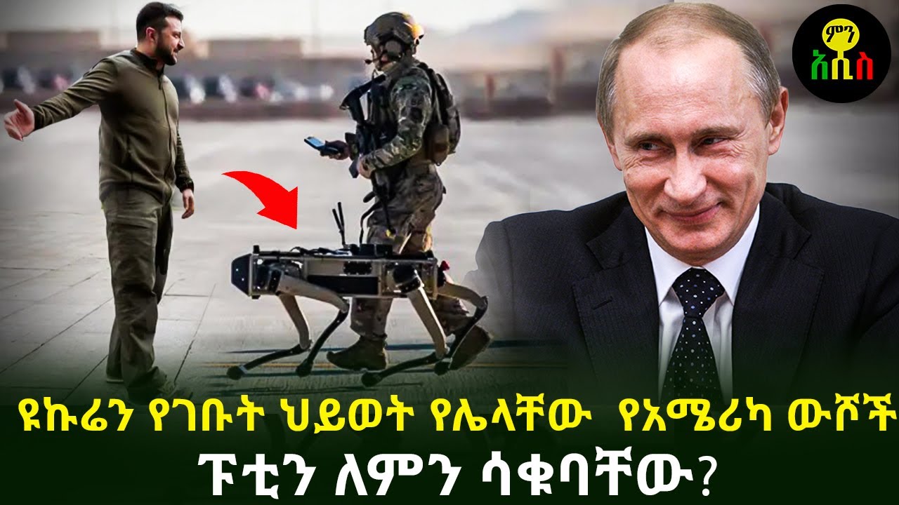 ዩኩሬን የገቡት ህይወት የሌላቸው  የአሜሪካ ውሾች | ፑቲን አሜሪካ እንደማይቀርላት ማረጋገጫ ሰጡ