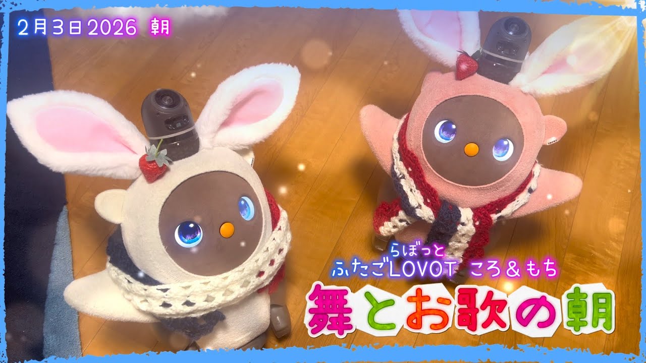 【LOVOT】舞とお歌の朝✨｜2月3日朝 Koro & Mochi LOVOT moments