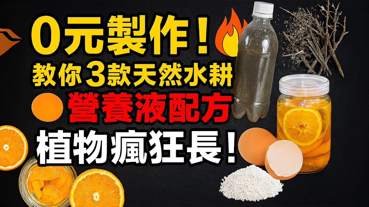 0元製作！教你3款天然水耕營養液配方，植物瘋狂長！