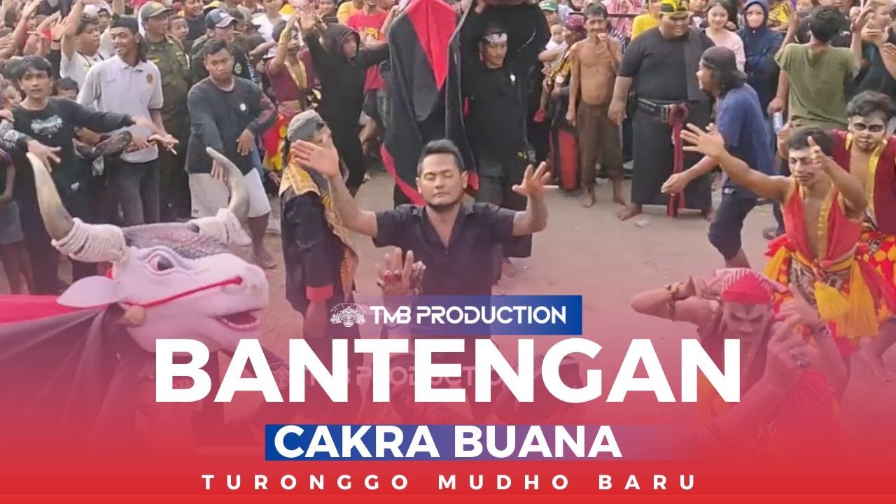 BANTENGAN TERBARU ! TURONGGO MUDHO BARU - BANTENGAN CAKRA BUANA  LIVE GEDANGSEWU PARE