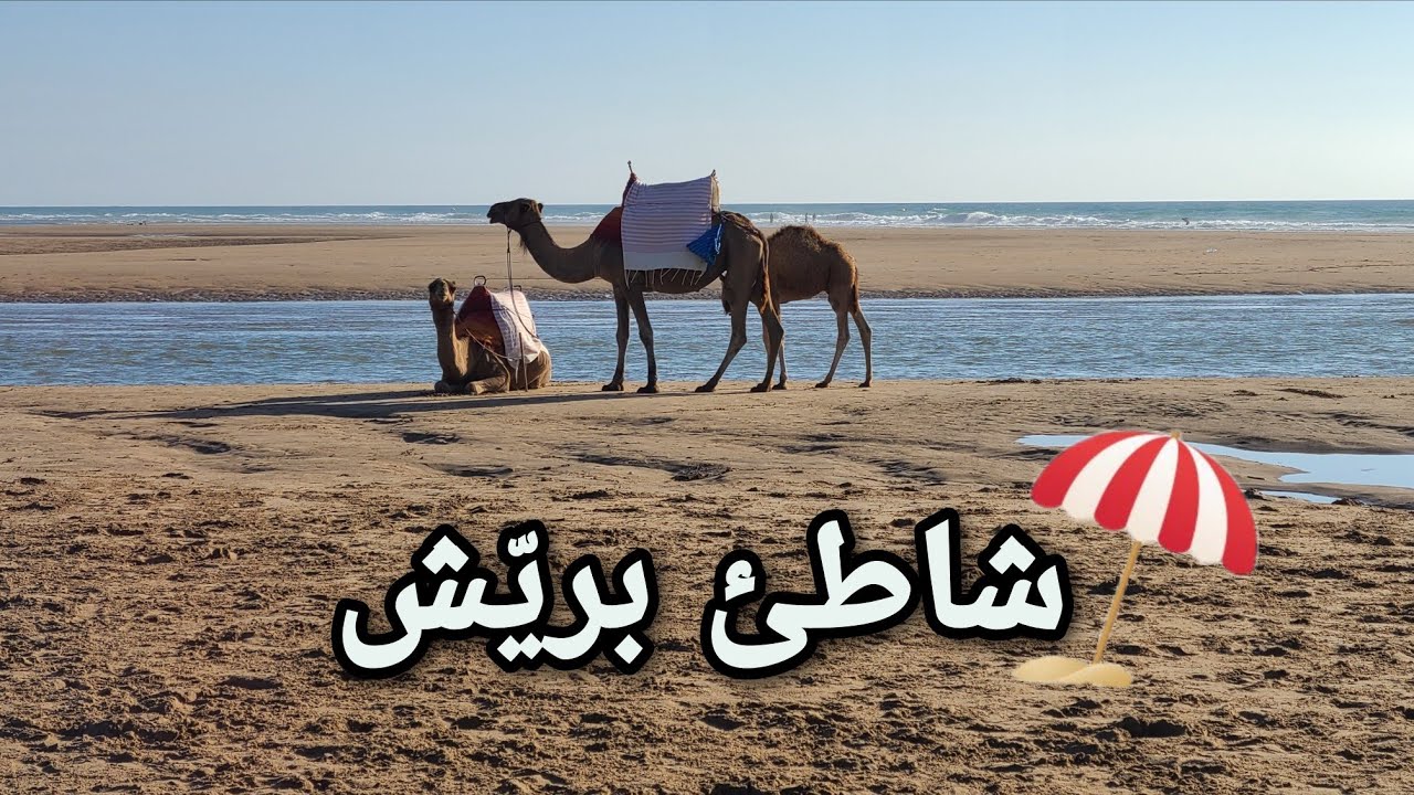 شاطئ اقواس بريّش و مصب واد غريفة نواحي مدينة أصيلة 