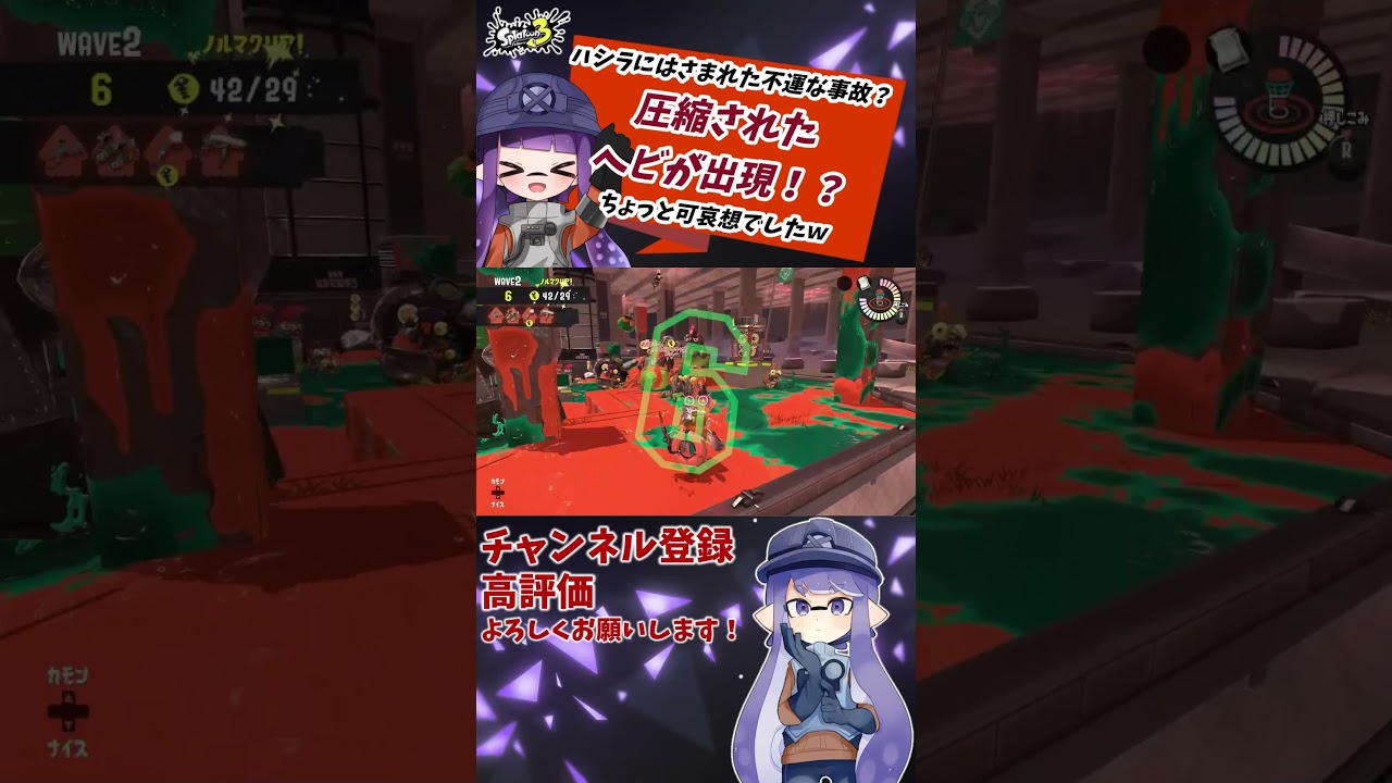 ヘビが圧縮！？マテガイビックランで遭遇した、あり得ない形のヘビ 