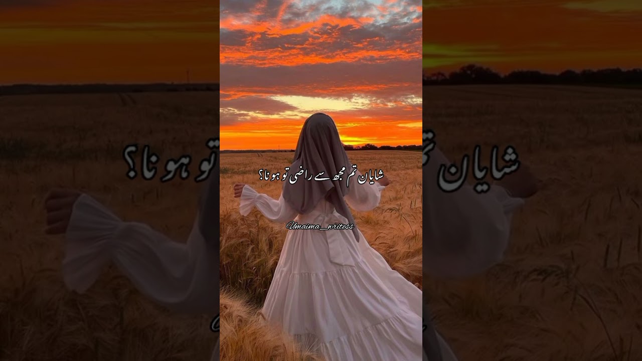 Bechara Shayan🤣😂