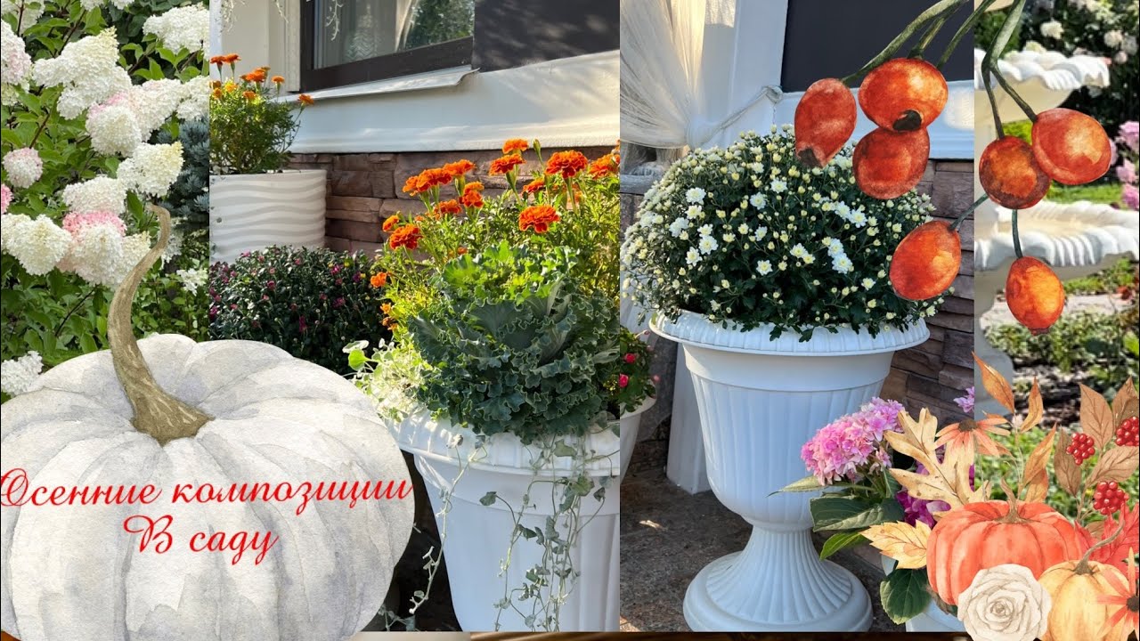 Осенние композиции в кашпо. Составляю композиции, украшаем сад на осень 🍂