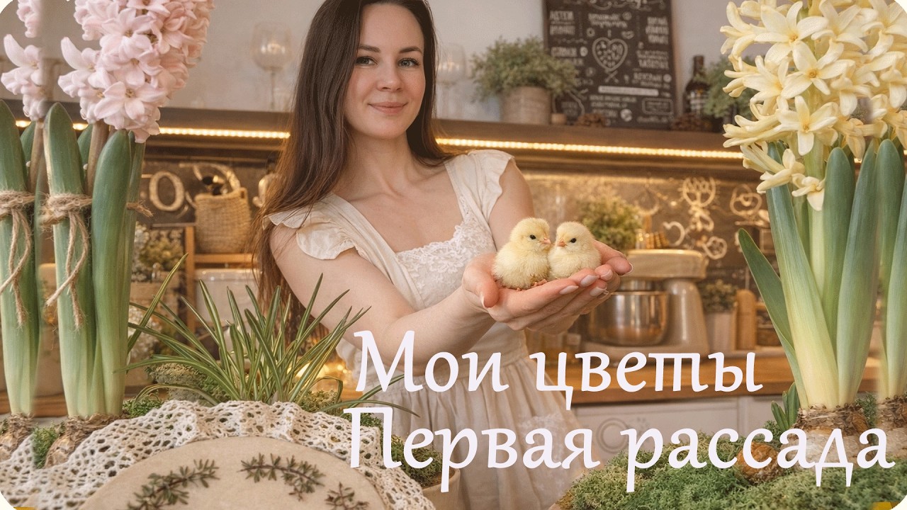🌱Сажаю Первую Рассаду🪻 Мои Первоцветы Домашние Дела🥬