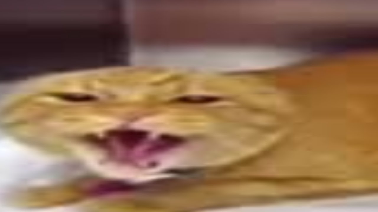 AAAAWUBADAUGH