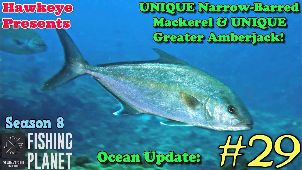 Fishing Planet #29 - S8 - Ocean Update: UNIQUE Narrow-Barred Mackerel & UNIQUE Greater Amberjack!