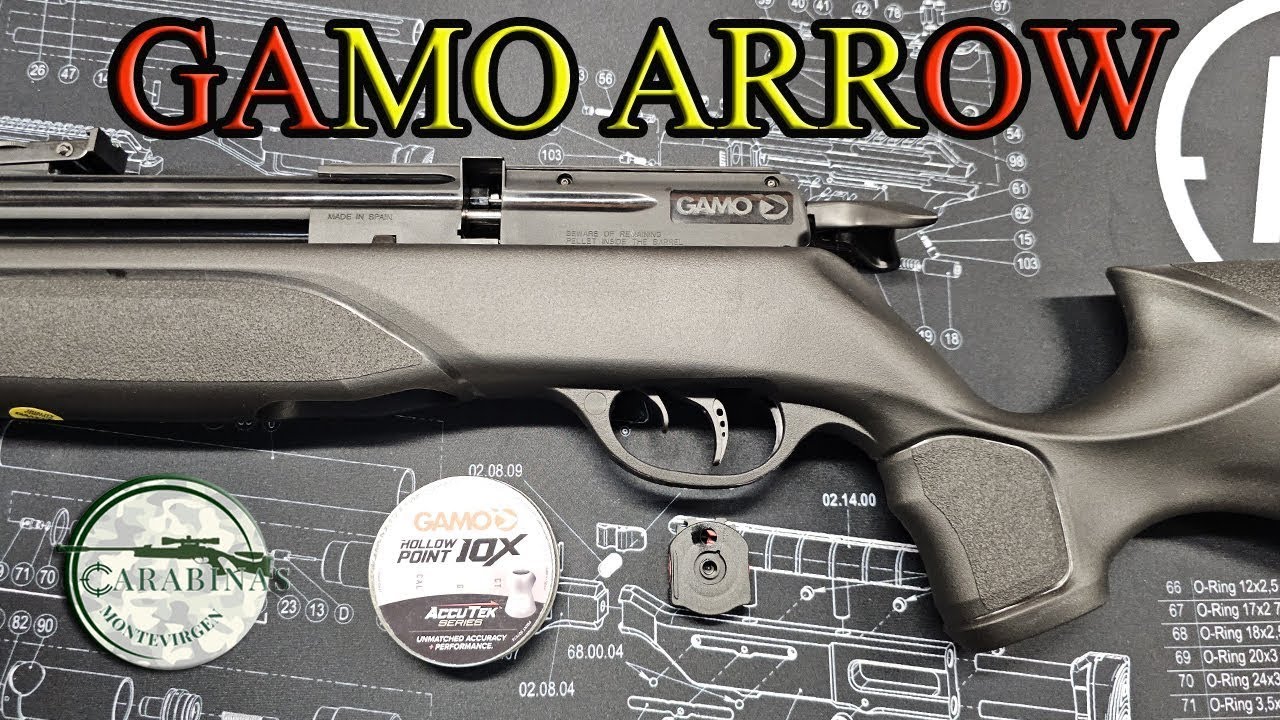 GAMO ARROW REVISION GRACIAS A @carabinasmontevirgen2020