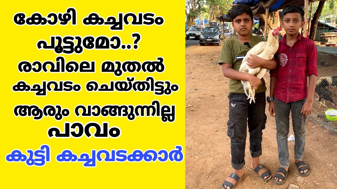 കോഴി കച്ചവടം പൂട്ടുമോ..?ആരും വാങ്ങുന്നില്ല..!
