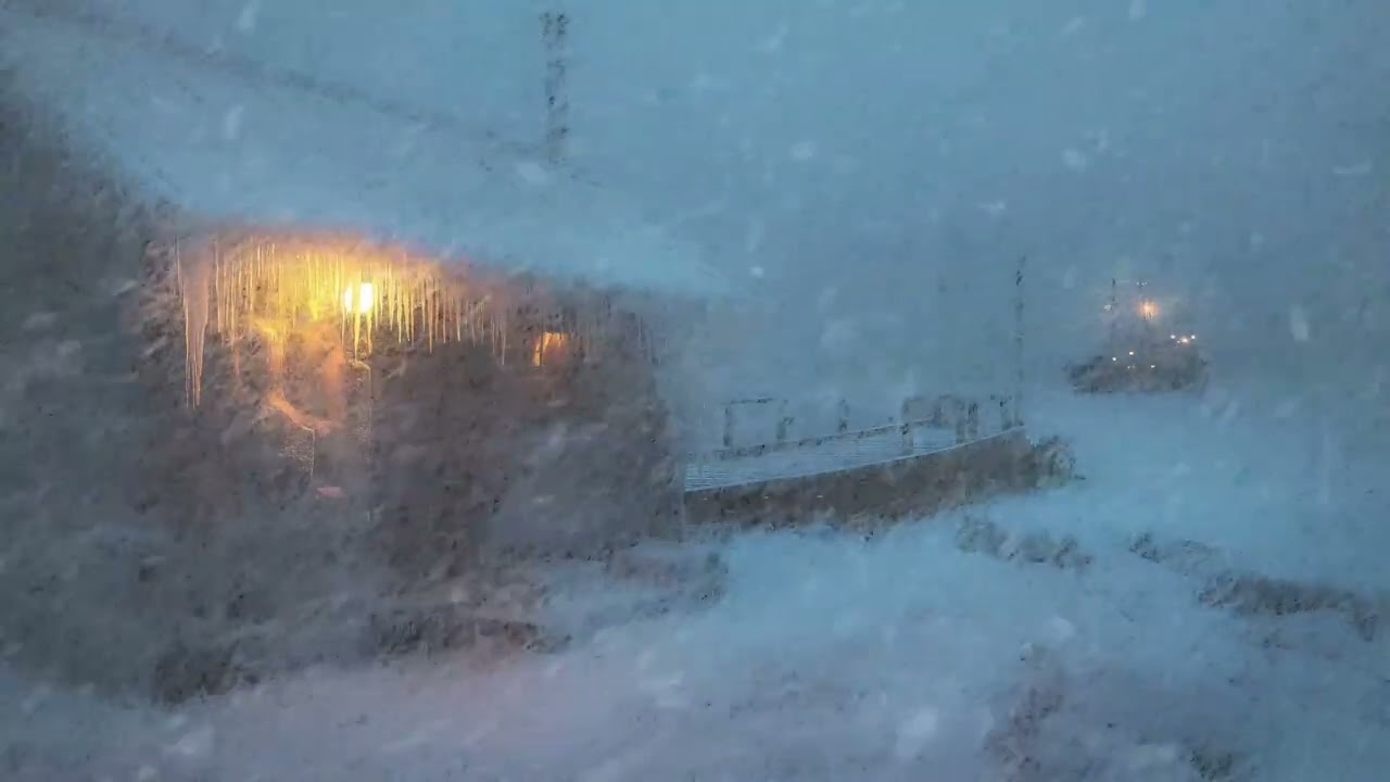 Heavy Blizzard Wind & Snowstorm Ambience for Sleeping | Intense Winter White Noise for Deep Sleep