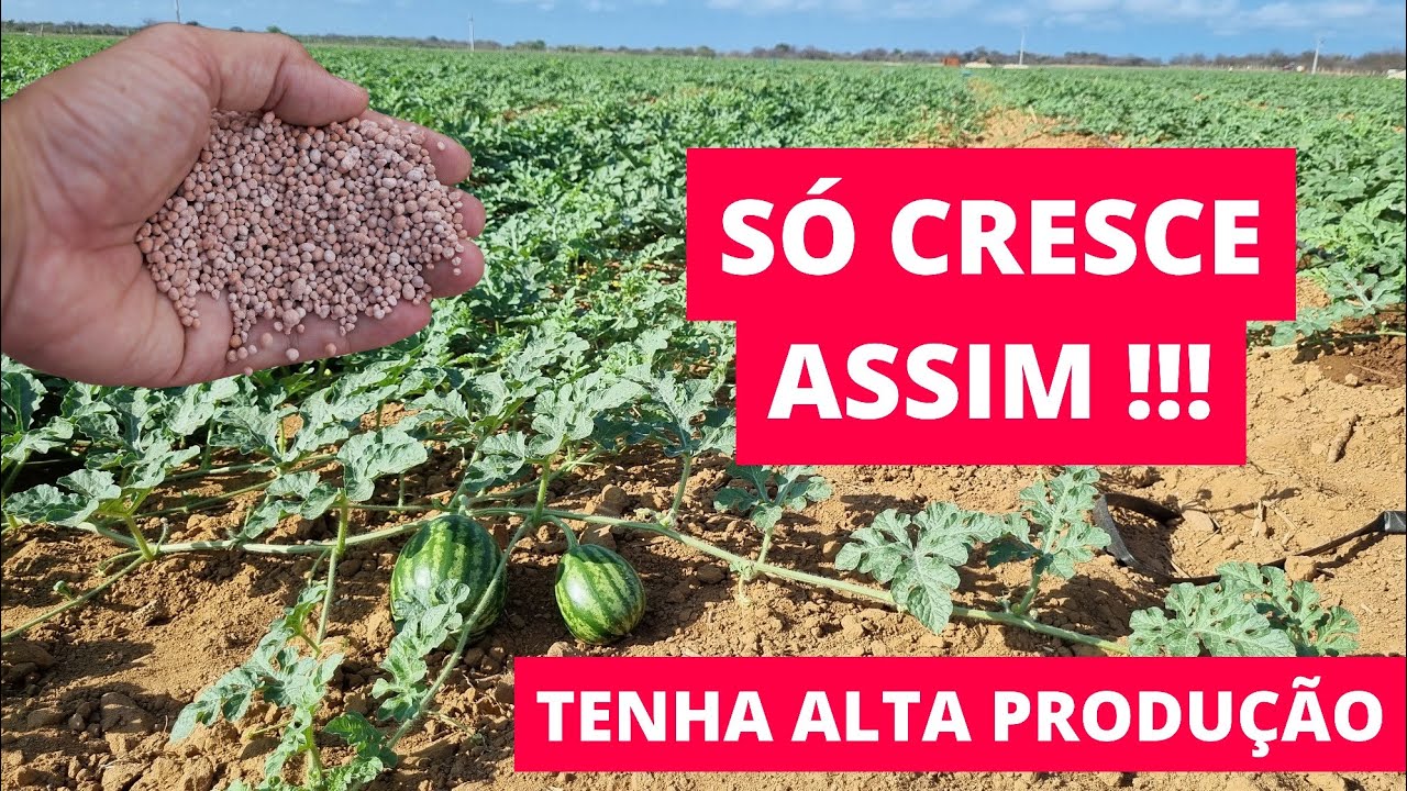 ADUBO PARA ENCHIMENTO