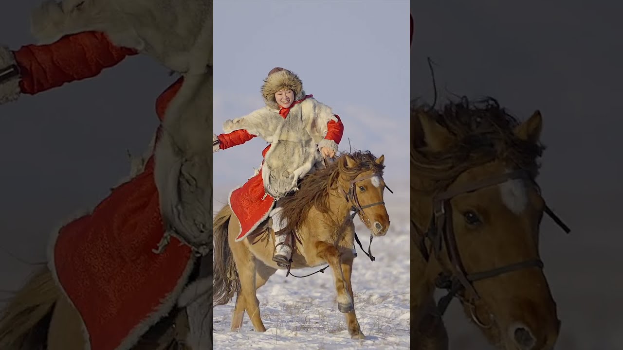 Girl care horse and training horse in beginner