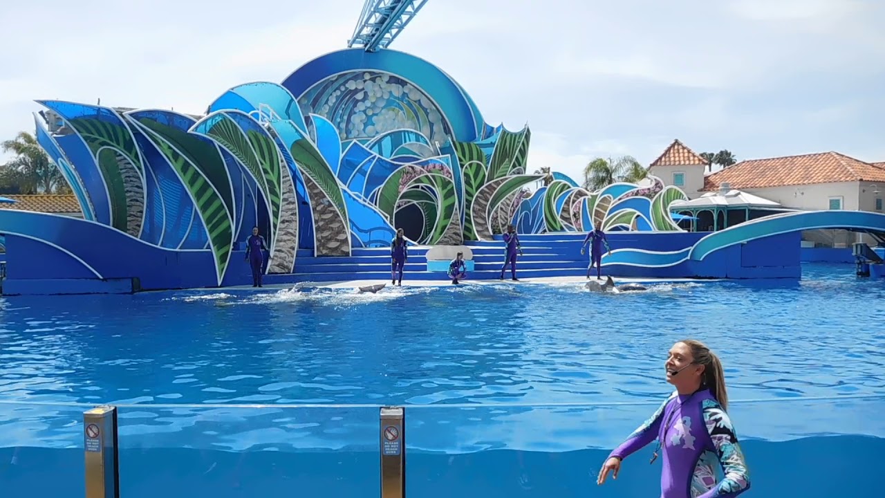Dolphin Days Special Presentation - Seaworld San Diego - April 14, 2019