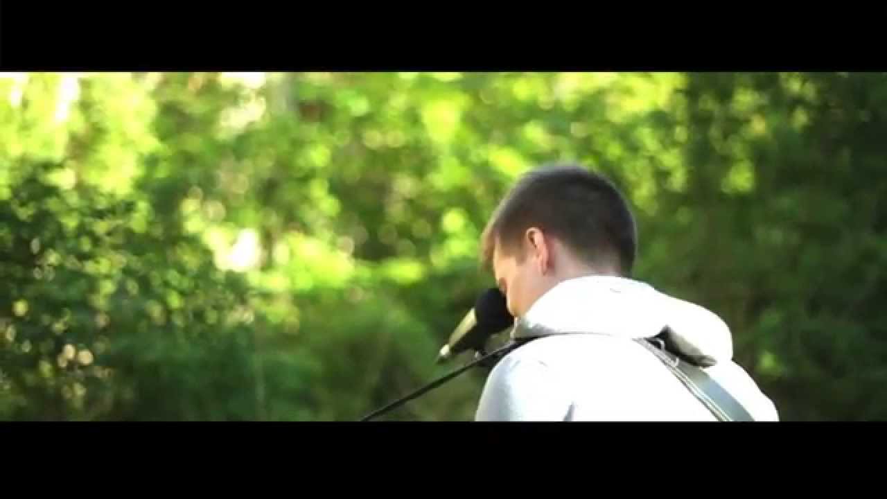 Philipp Taubert - Eines Tages Sind wir Vögel - EP