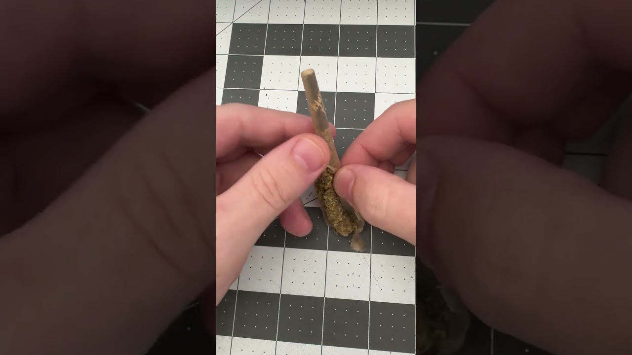 Seed Junky - Permanent Marker Pre Roll Review/Gutting.