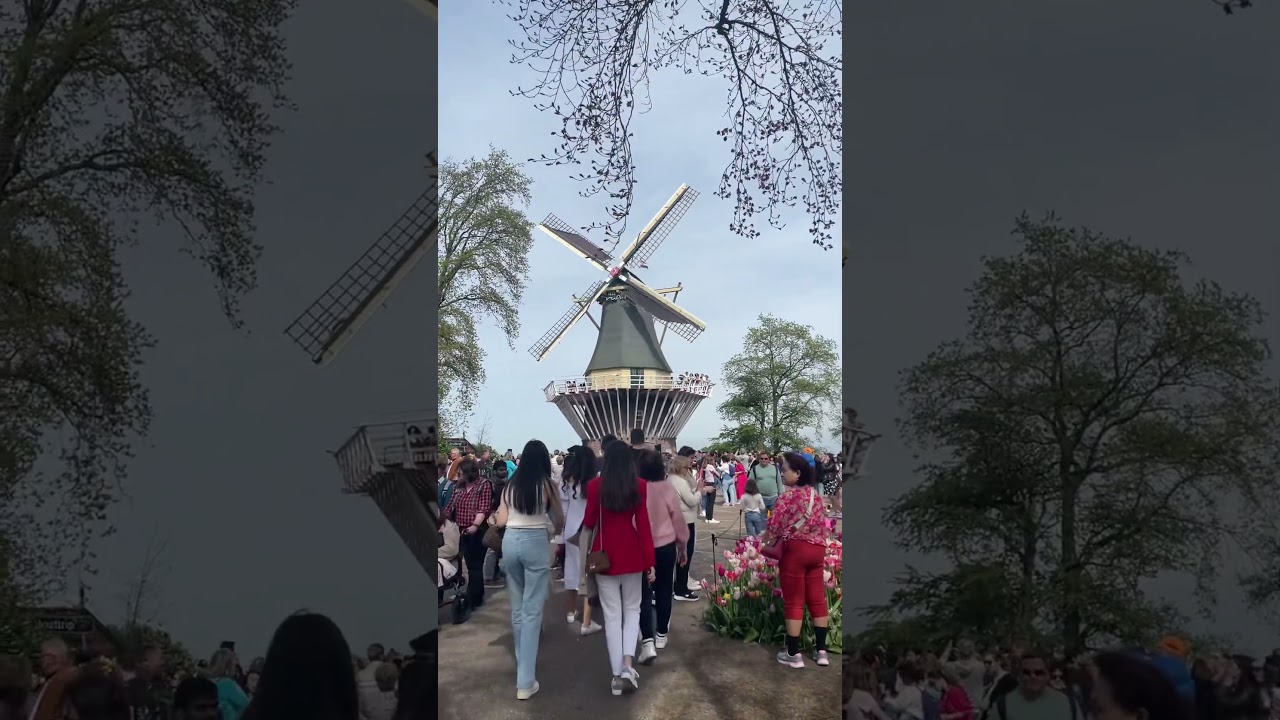 Tulpen park#keukenhof#lisse #holland #tulpen ##gardenplants #europe #tourist #fr&uuml;hling #