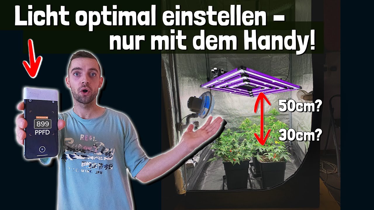 Growlampe perfekt einstellen in wenigen Schritten: So maximierst du deinen Grow 🥦