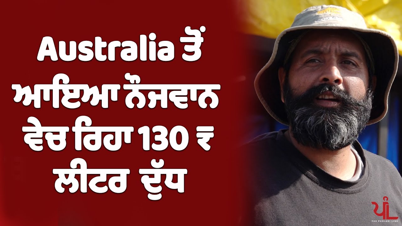 Посмотрите, как с 1 акра земли можно заработать 60–70 тысяч рупий в месяц! | The Punjabi Link