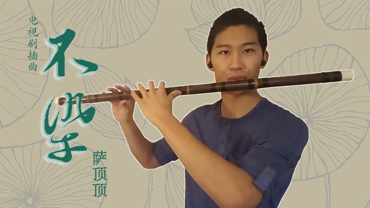 不染 [萨顶顶] - Dizi Cover
