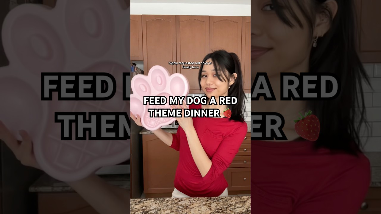 Let&rsquo;s feed my dog a red theme dinner! 🍓🌹 #dogshorts #doberman #dogfeeding #dogfood