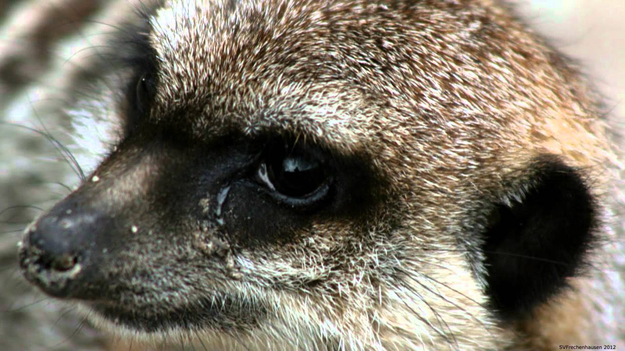 Zoobesuch