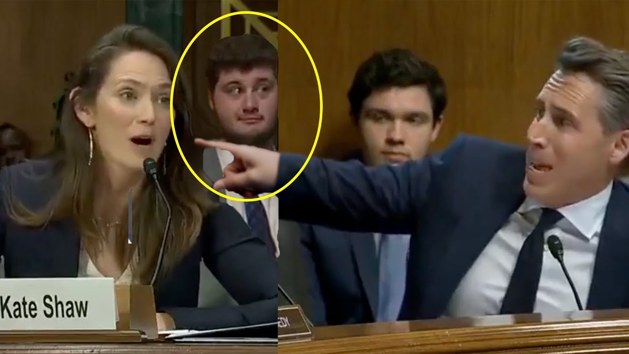 Crowd SHOCKED as witness HUMILIATES Josh Hawley at hearing