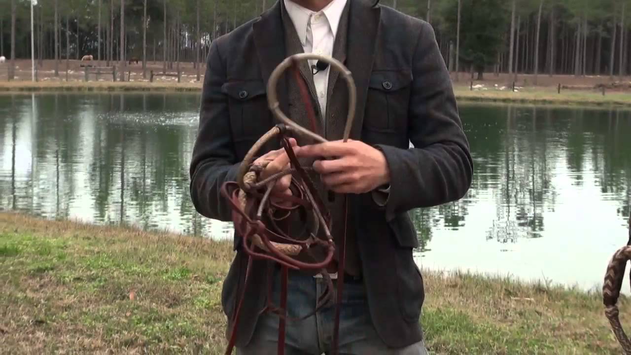 From Hackamore To Spade Bit