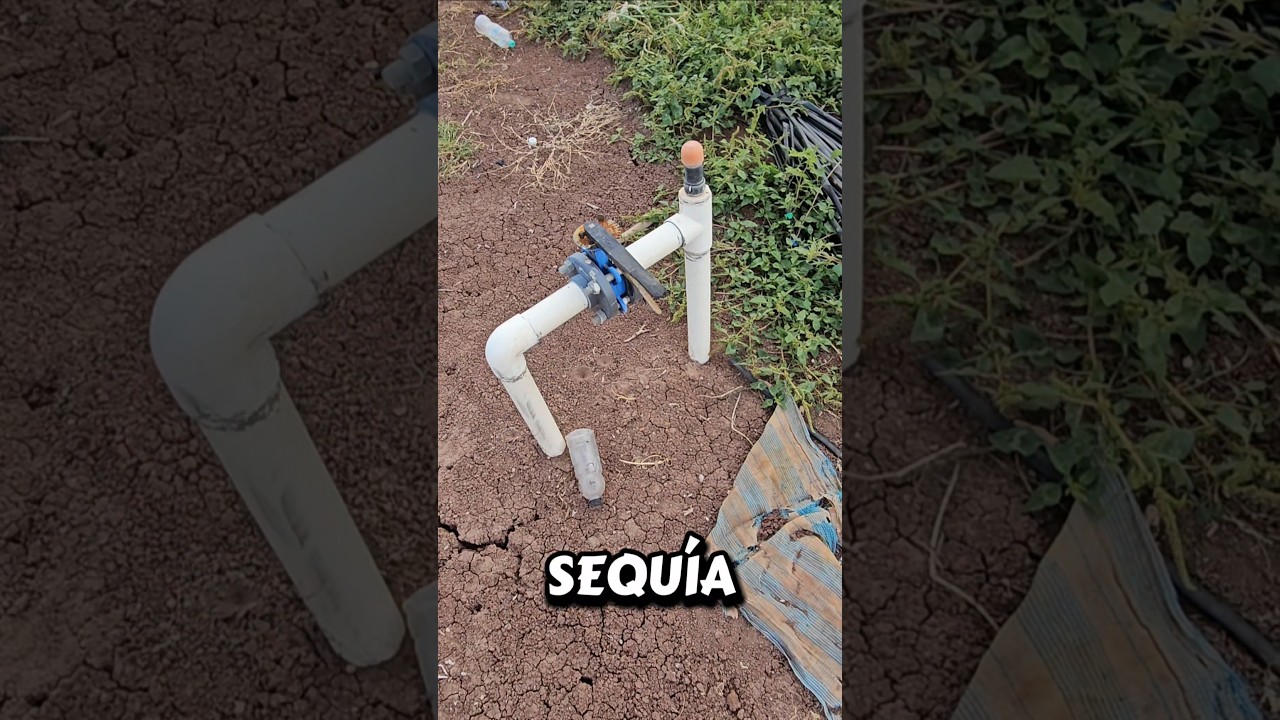 muy importante tener sistemas de riegos en nuestros cultivos.