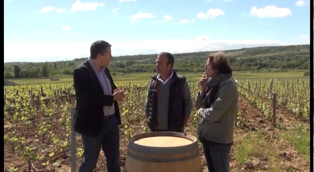 Rencontre avec le viticulteur - Santenay 1er cru/Chassagne-montrachet, Domaine Lucien Muzard et Fils