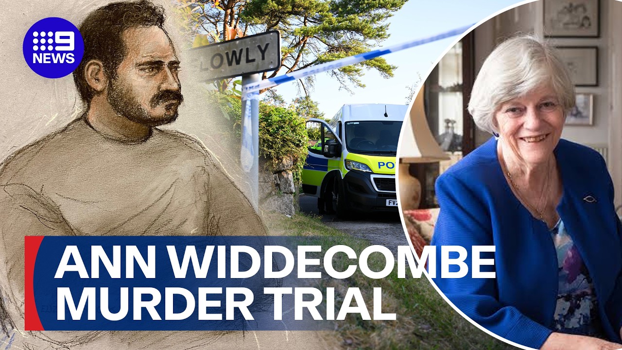 Ann Widdecombe's accused murderer fronts court for the first time | 9 News Australia