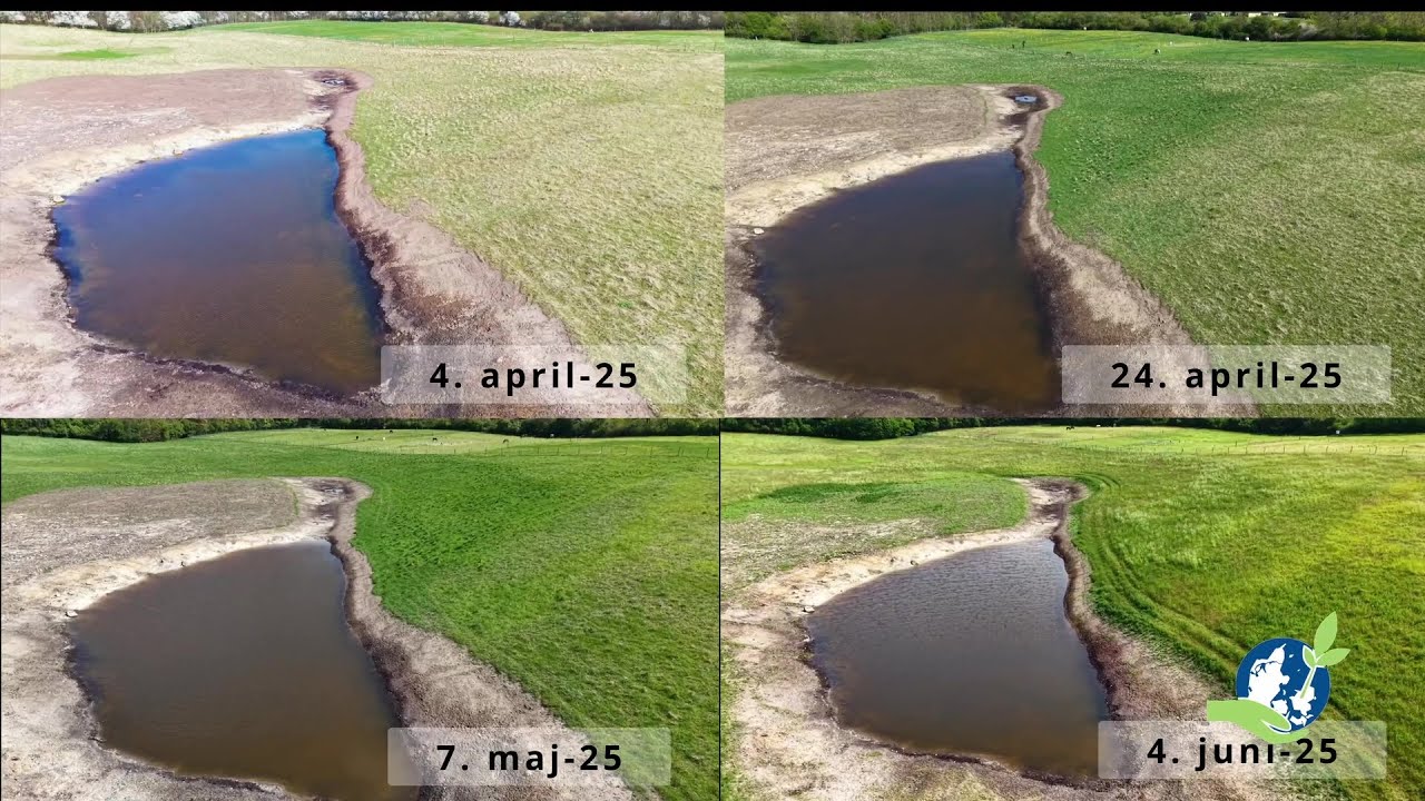 Følg en sø i Holbæk