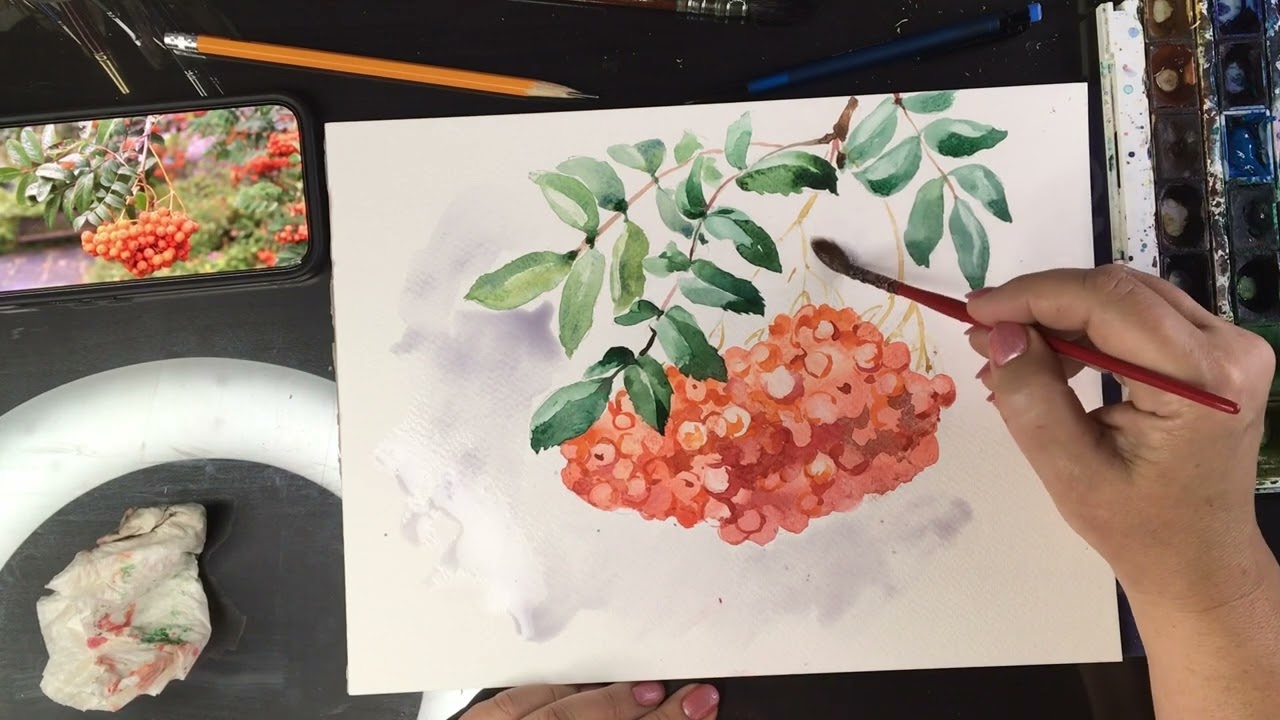 RAINY ROWAN SPEEDPAINT (watercolor study)