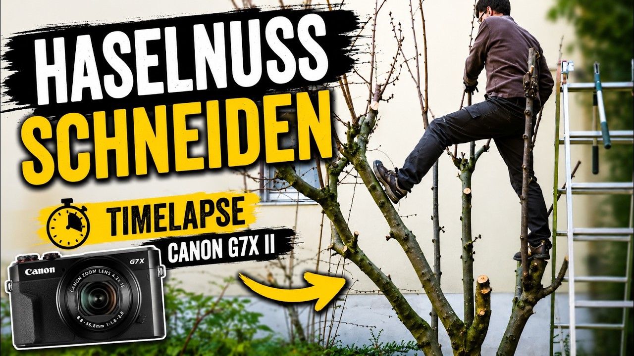 Haselnuss schneiden - Timelapse Canon G7X Mark II