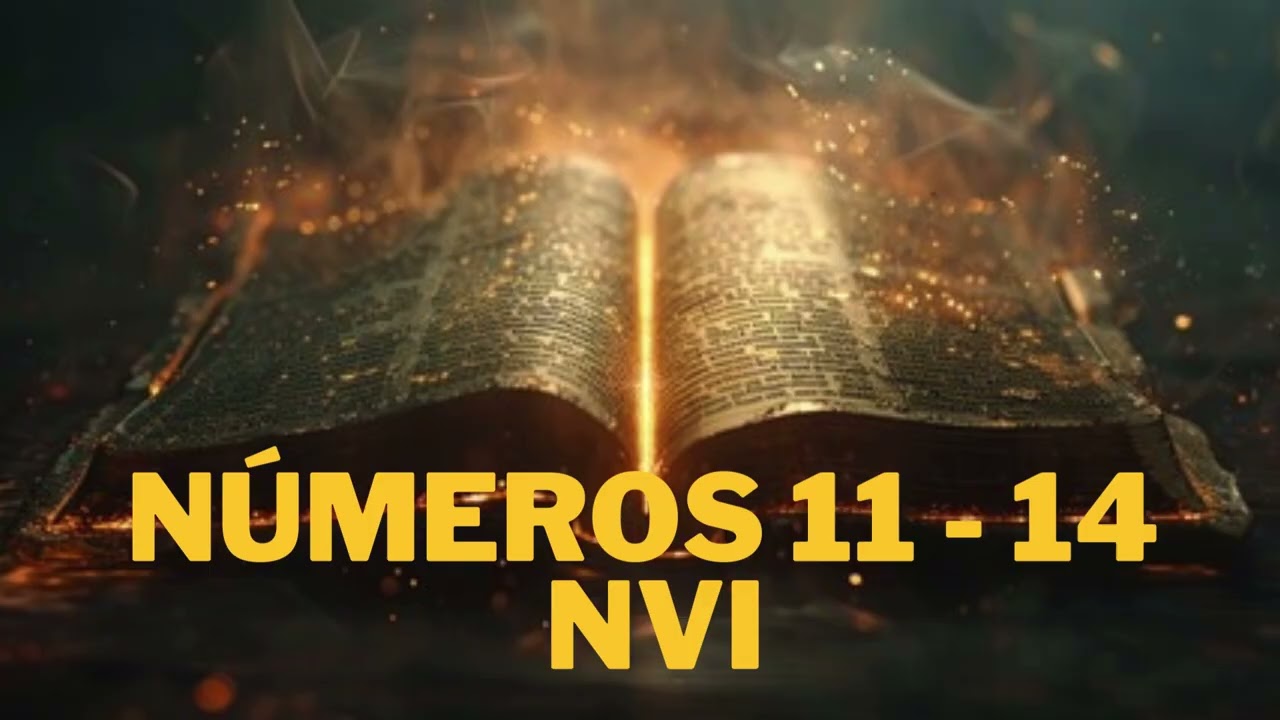 Números 11 -  14