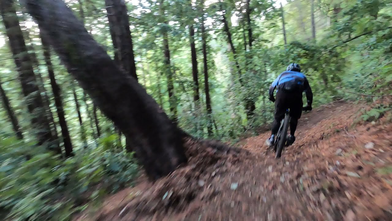 Ry - Berm Reynolds (Land of Medicine Buddha/Nisene)