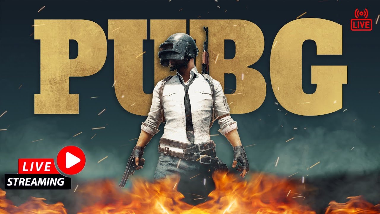 HARDLY SURVIVE AND CHICKEN DINNER | GAMEPLAY 