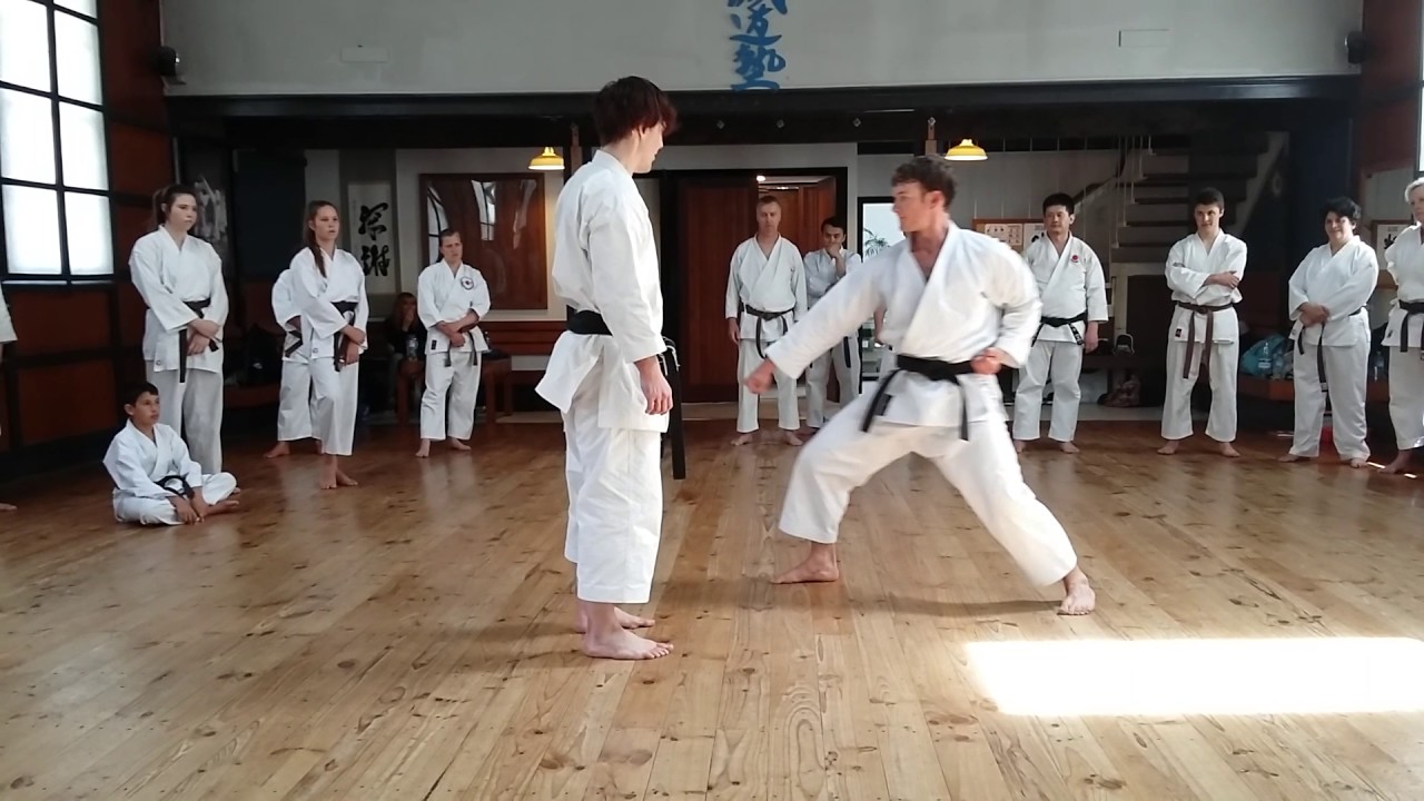 Andre Bertel Karate Seminar CHCH NZ   18