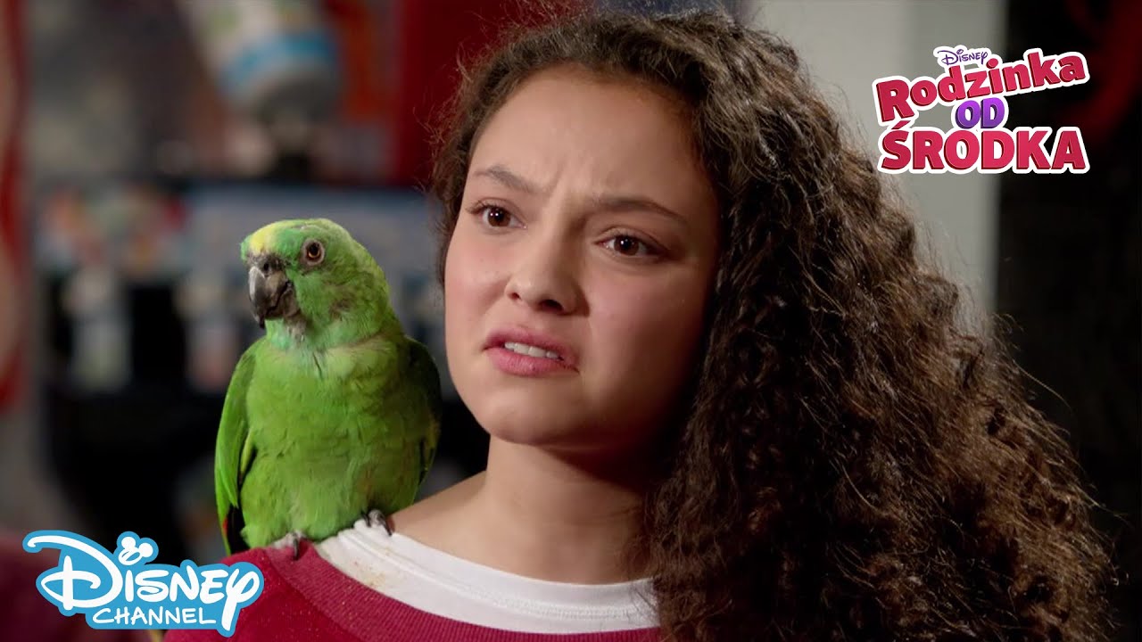 🦜 Reklama z papugą | Rodzinka od środka | Disney Channel Polska